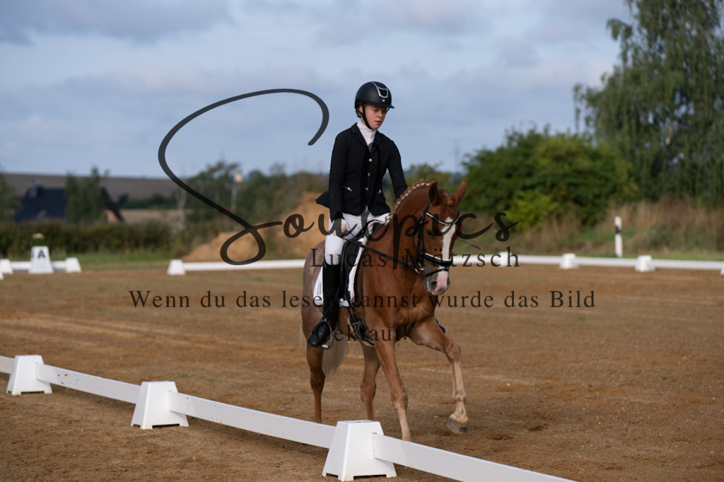 A7V03696 | Turnier/Reitfotograf