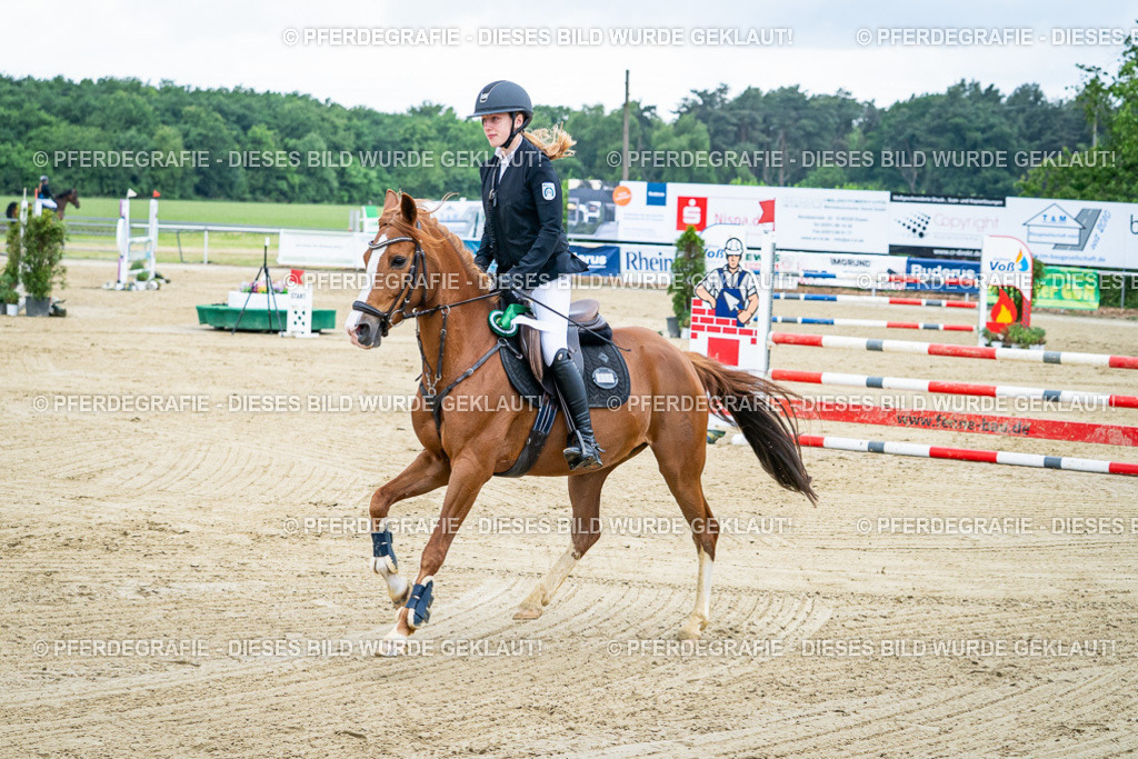 DSC03928 | Pferdegrafie