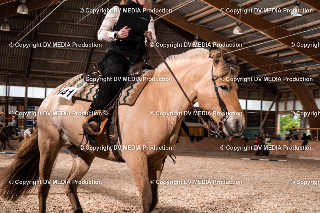 Heidelberg Tag 2-540 | dv-media-shop - Realisiert mit Pictrs.com