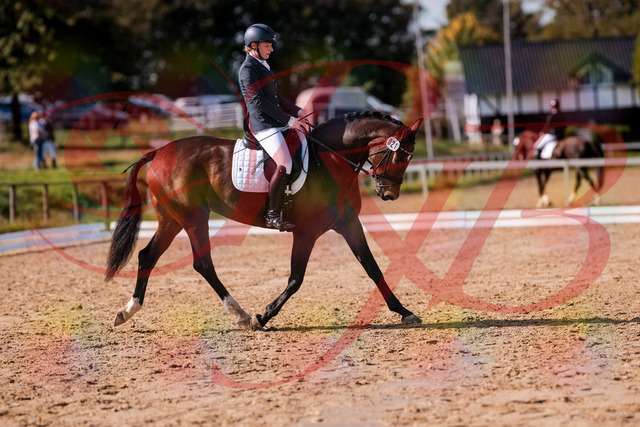 2026_10_03_Siefer-Hof_125750_Z81_46786819 | Professionelle Reitsport-, Turnier- und Eventfotografie von Robert Broda. Galerien mit ausgewählten und bearbeiteten Bildern direkt online ansehen und bestellen.