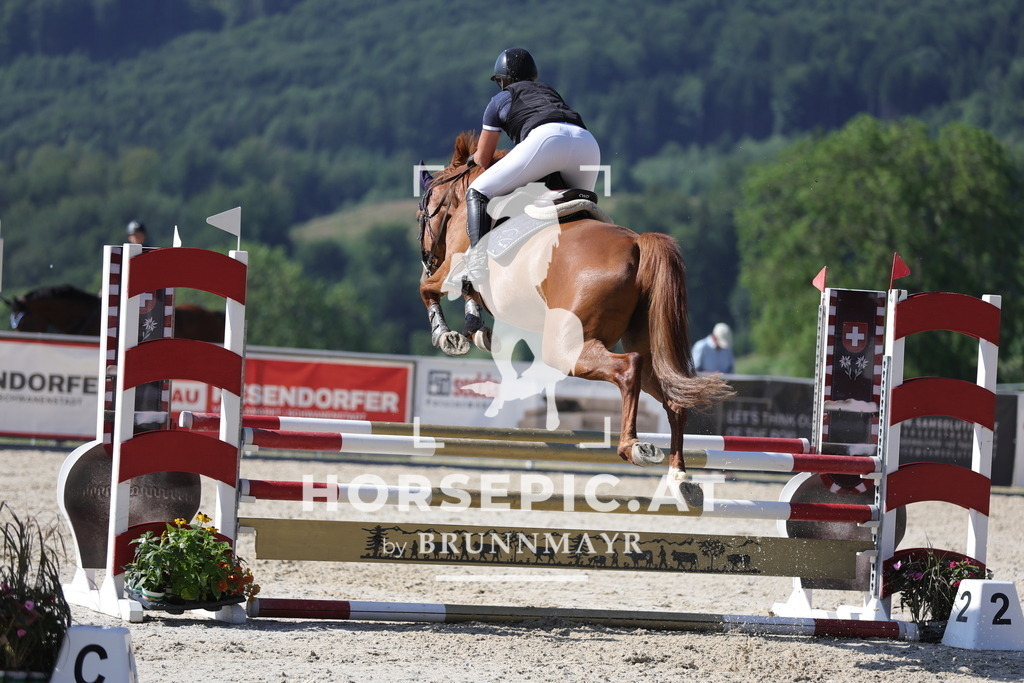 0P6A5529 | Willkommen bei Brunnmayr - Design & Fotografie – Ihrem Spezialisten für Reitturniere und Pferdeveranstaltungen in Oberösterreich, Salzburg und Bayern! Seit über 17 Jahren sind wir leidenschaftlich dabei.
