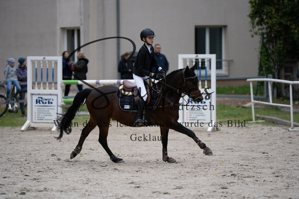 A7V07821 | Pferdefotograf