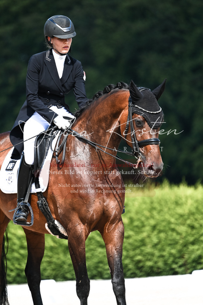 DSC_3114 | Pferde- und Turnierfotografie in Westsachsen. Pferdeportraits, Auftragszeichnungen und intuitive Kunst.