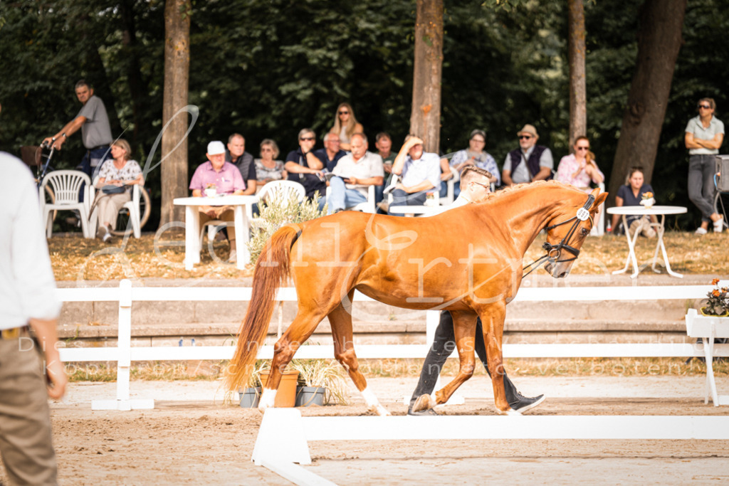 7.Fr00095 | Leoni Ertmer Photography - Realisiert mit Pictrs.com