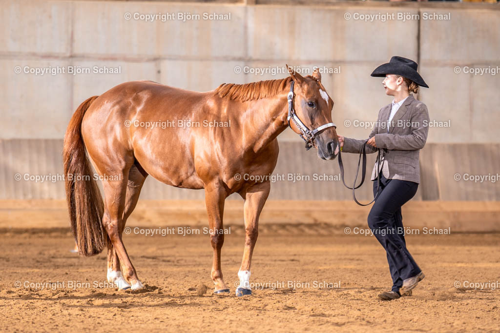 LMB03114 | BS-foto