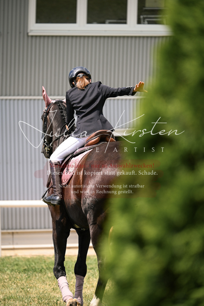 DSC_9357 | Pferde- und Turnierfotografie in Westsachsen. Pferdeportraits, Auftragszeichnungen und intuitive Kunst.