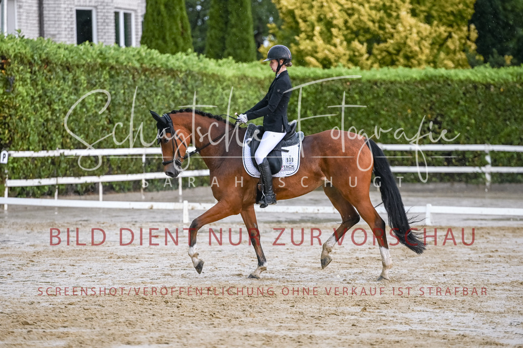 Schugtsche-Aluta25-55.Dressurreiterprf.L1Tr-273 | Schugtsche Fotografie - Realisiert mit Pictrs.com