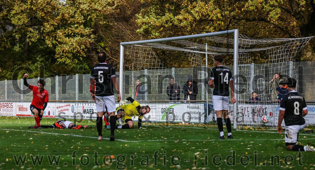 2023-11-05_074_FC_Herzogstadt_gegen_TuS_Oberding | Erding, Deutschland, 05.11.2023:
Fußball, Kreisklasse 2023 / 2024, 14. Spieltag, FC Herzogstadt gegen TuS Oberding, Endergebnis: 4:5

Jubel nach dem 1:3 durch Tim Götze (TuS Oberding, #29)
Tim Götze (TuS Oberding, #29), Sebastian Stemmer (TuS Oberding, #7), Christoph Greckl (FC Herzogstadt, #5), Torwart Florian Leininger (FC Herzogstadt, #22), Dardan Recica (FC Herzogstadt, #14)

Foto: Christian Riedel / fotografie-riedel.net