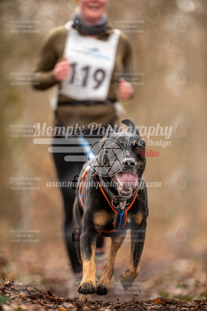 Reiat2023_SON_CaniXRun_5km_W-51 | PayLife