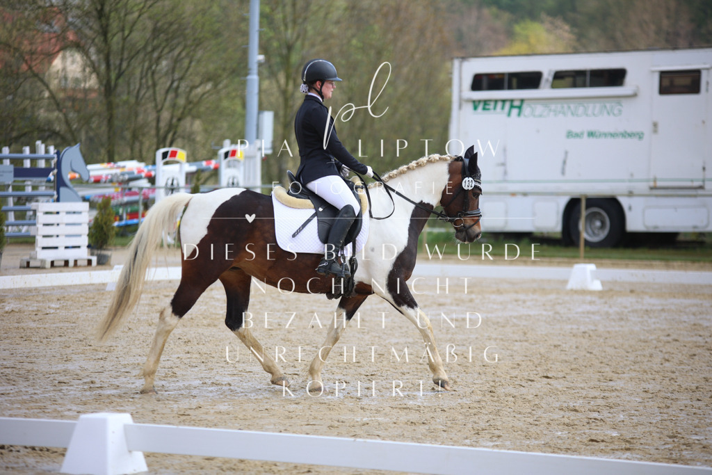 IMGT3542 | pl-fotografie