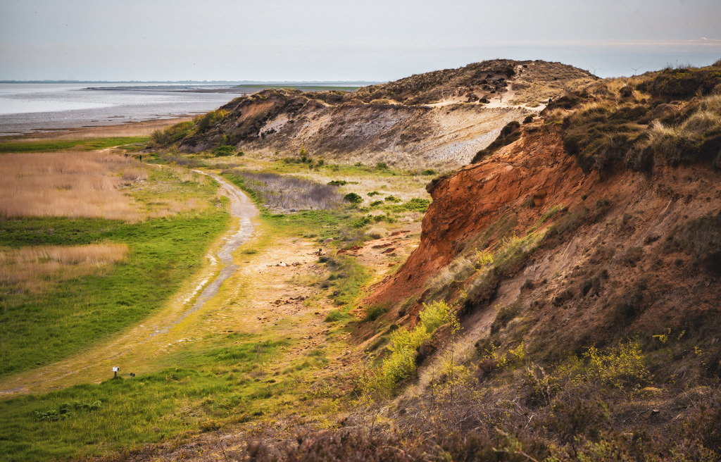 Das besondere Morsum-Kliff auf Sylt,Naturschutzgebiet Schleswig-Holstein | Das Bild zeigt das bekannte Morsum-Kliff an der Ostküste der Nordseeinsel Sylt in Schleswig-Holstein.Wichtige Fakten zum Morsum-Kliff:Lage: Es liegt im Osten von Sylt und grenzt direkt an das Wattenmeer.Größe: Das Kliff ist etwa 1,8 Kilometer lang und bis zu 21 Meter hoch.Besonderheit: Es ist das älteste Naturschutzgebiet Schleswig-Holsteins und ein geschütztes Geotop.Geologie: Die markanten bunten Schichten bestehen aus dunklem Glimmerton, rotem Limonitsandstein und weißem Kaolinsand. Sie zeigen Millionen Jahre Erdgeschichte - Realisiert mit Pictrs.com