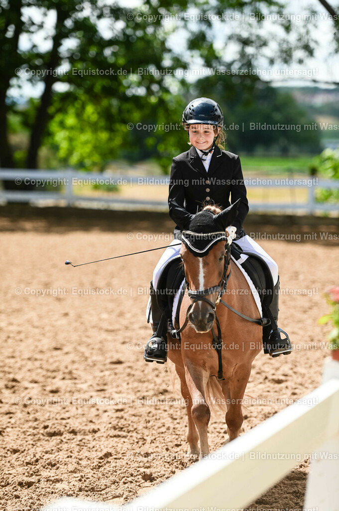 20230716_10-3_Reiter-WB Schritt - Trab - Galopp_0035 | equistock