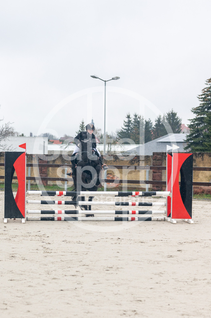 DSC_8197 | sattelsport - Realisiert mit Pictrs.com