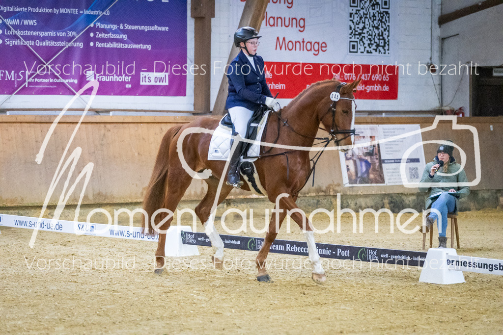 Sth-WBO25-DrR-073 | MomenTaufnahmen Pferdesportfotos