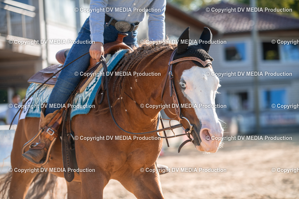 EWP_7115 | dv-media-shop - Realisiert mit Pictrs.com