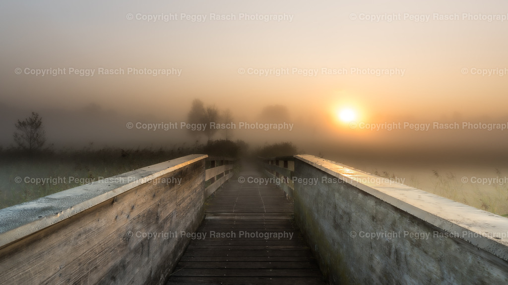 Bayern | PeggyRaschPhotography - Realisiert mit Pictrs.com