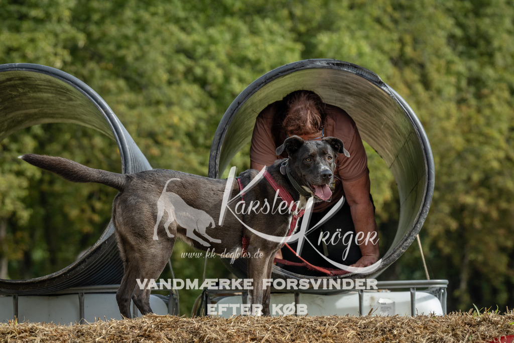 1141_ZZ90085 | kk-dogfotos