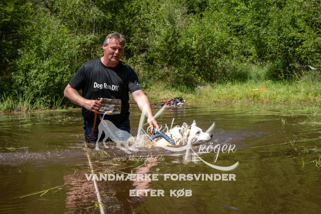 1343DKK990297 | kk-dogfotos