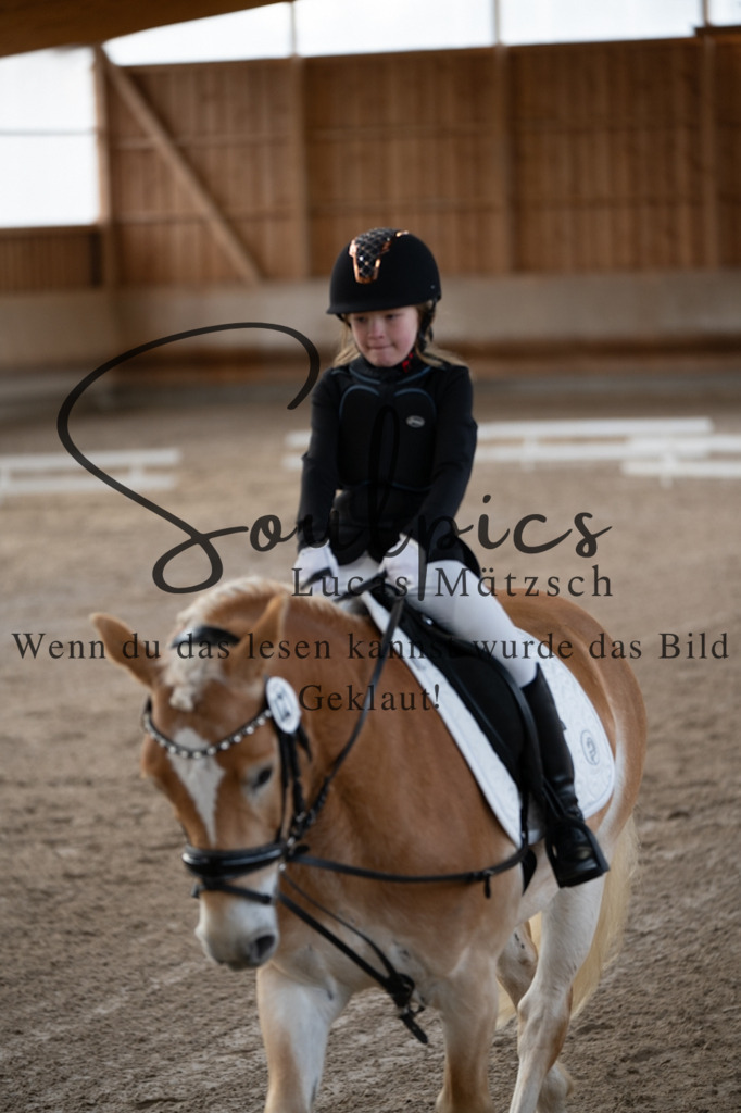 A7V09235 | Pferdefotograf