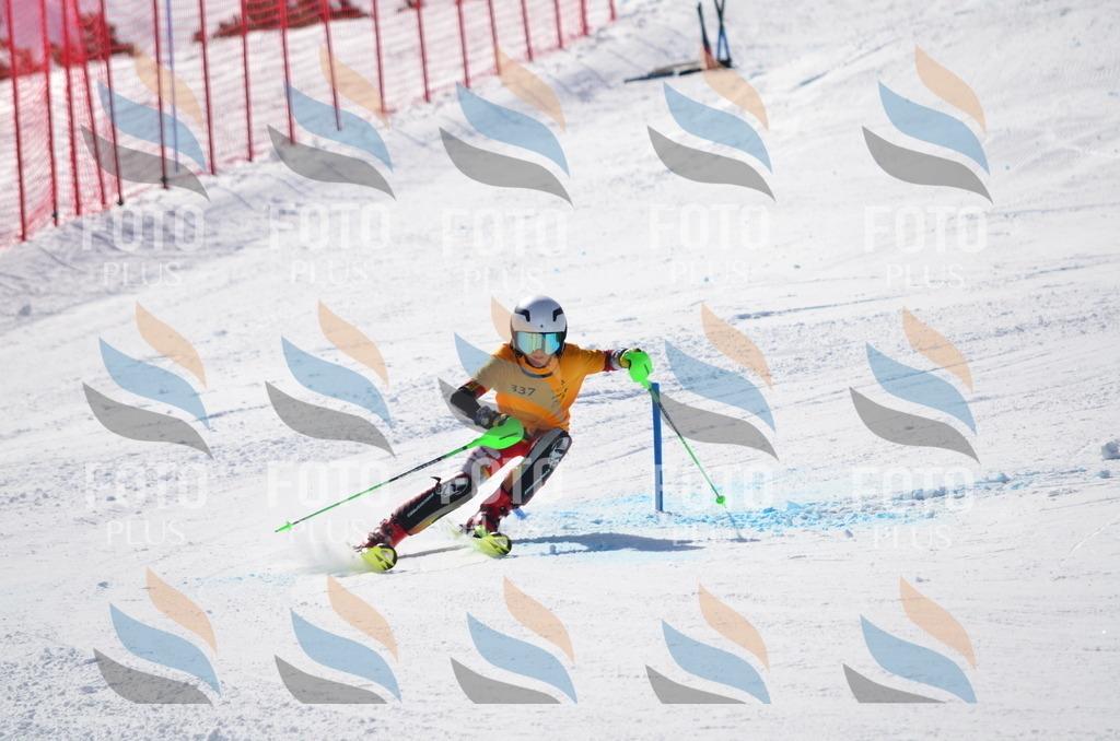 C9694 | holidayphoto