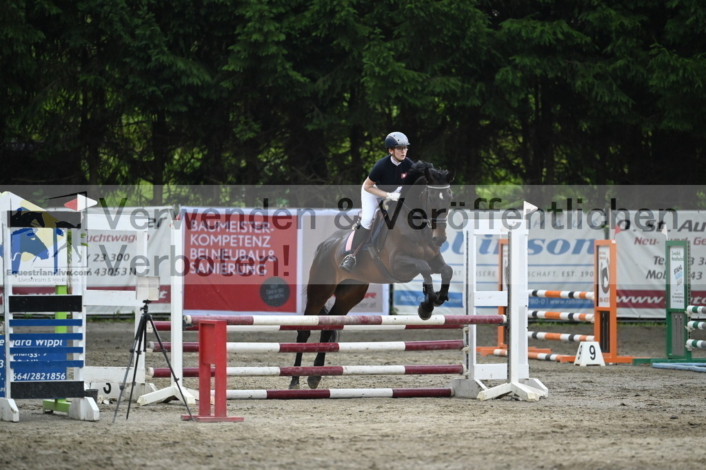 DSC_4746 | equestrian-live-com