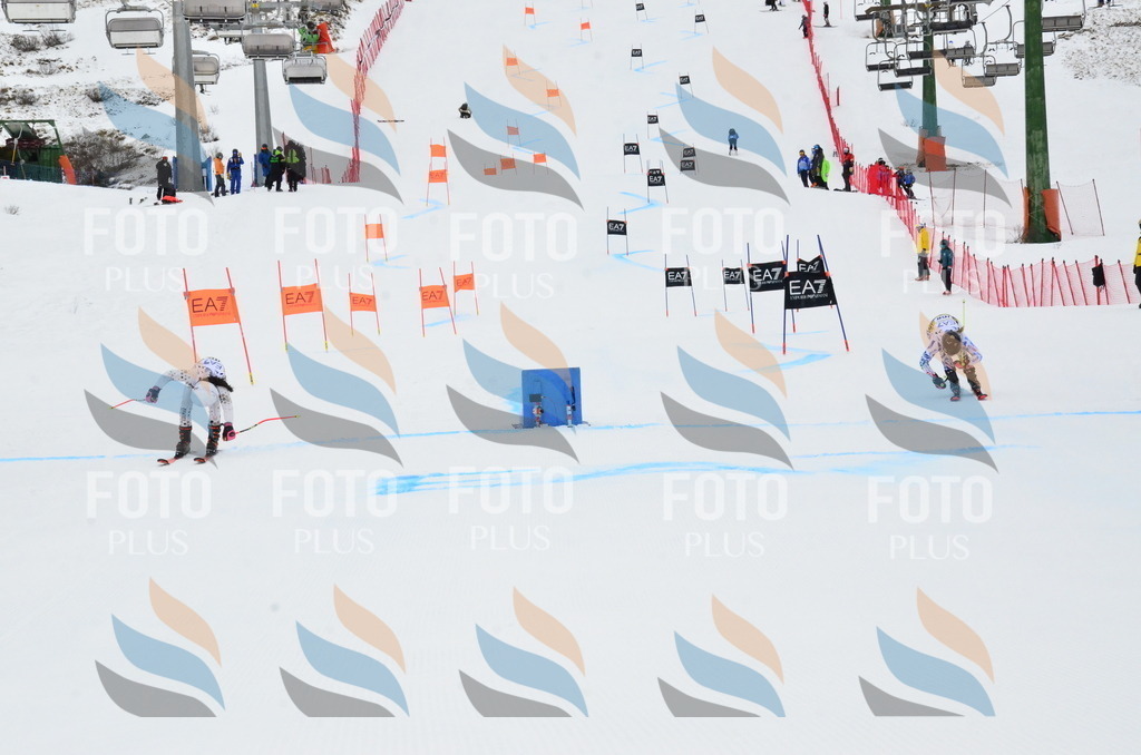 _ELE3573 | holidayphoto