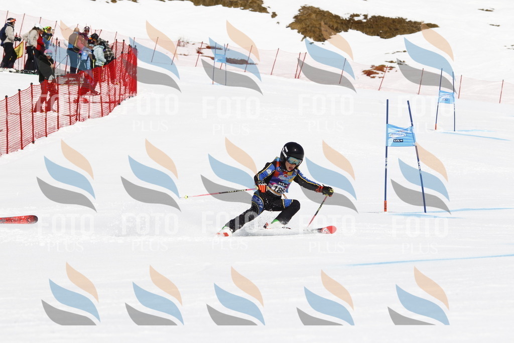 _U3G4886 | holidayphoto