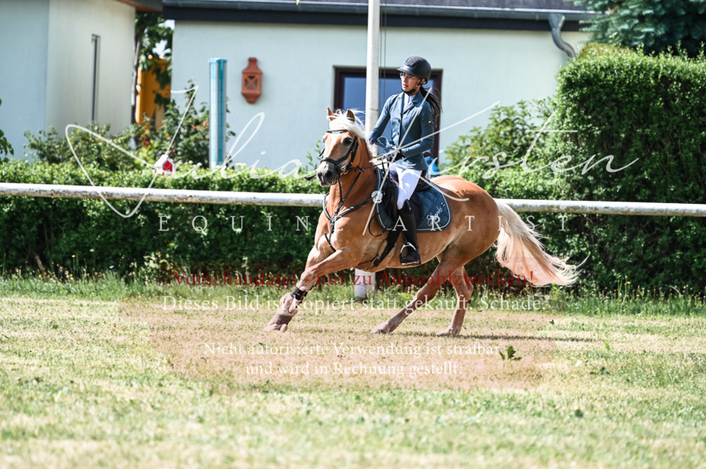 DSC_8778 | Pferde- und Turnierfotografie in Westsachsen. Pferdeportraits, Auftragszeichnungen und intuitive Kunst.