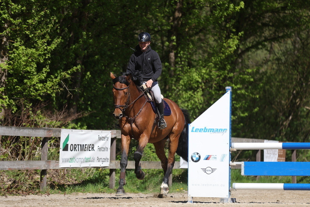 0P6A8115 | Willkommen bei Brunnmayr - Design & Fotografie – Ihrem Spezialisten für Reitturniere und Pferdeveranstaltungen in Oberösterreich, Salzburg und Bayern! Seit über 17 Jahren sind wir leidenschaftlich dabei.