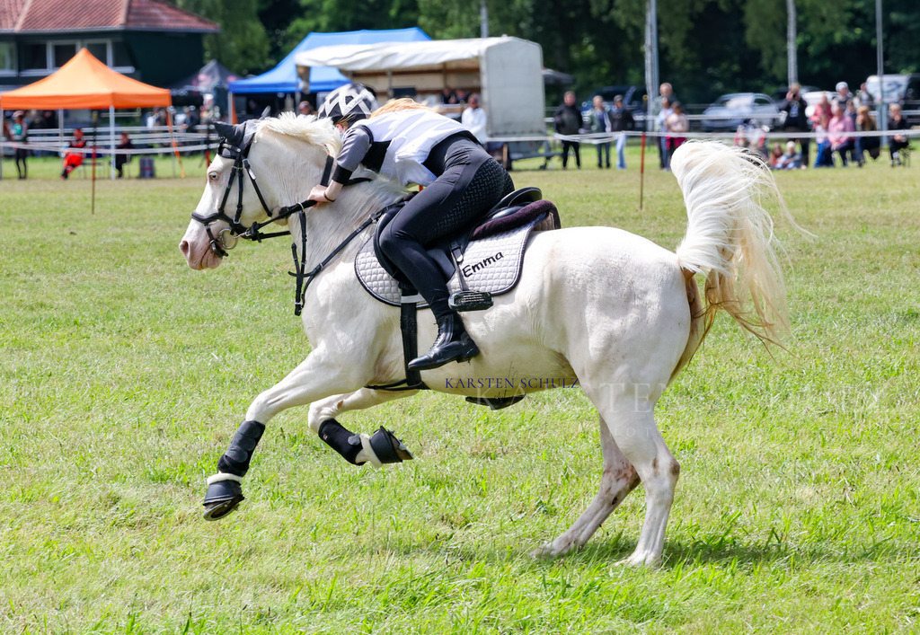 1B3A2526 | Reitsport Reiten