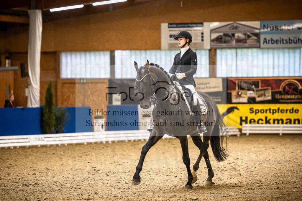 DOS_1981 | Entdecke hochwertige Reitturnierfotos von Foto Oger. Professionell, emotional und authentisch – jetzt Lieblingsmomente im Shop bestellen.Deutschlandweite Turnierfotografie. - Realisiert mit Pictrs.com