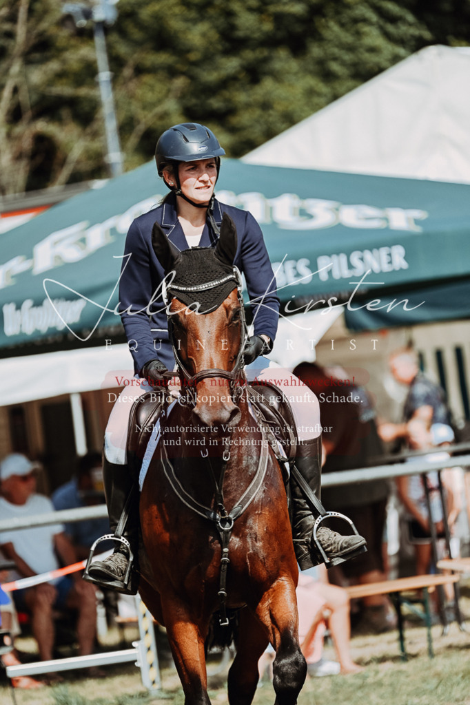 DSC_9381 | Pferde- und Turnierfotografie in Westsachsen. Pferdeportraits, Auftragszeichnungen und intuitive Kunst.