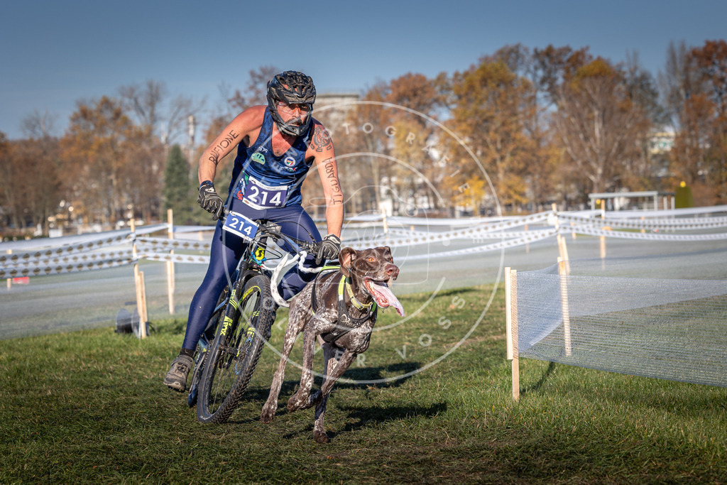 CaniXpix_0L8A4577 | Hundefotografie, Tierfotograf, Pfotenfotografie, Fotoshooting Hund, Hunde Portrait, Hundesport, Hundeportraits, Heideshooting, Hunde, Sportfotograf, Hundefotograf, Turnierhundsport, THS,  - Realisiert mit Pictrs.com