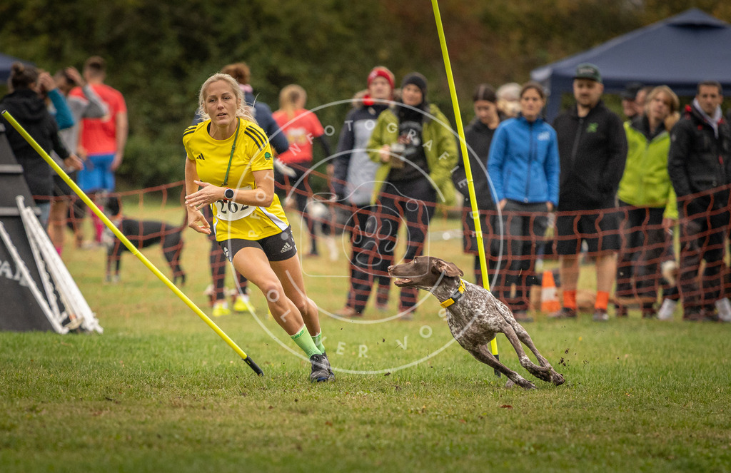 Pfotenfotografie_DV3A7197 | Hundefotografie, Tierfotograf, Pfotenfotografie, Fotoshooting Hund, Hunde Portrait, Hundesport, Hundeportraits, Heideshooting, Hunde, Sportfotograf, Hundefotograf, Turnierhundsport, THS,  - Realisiert mit Pictrs.com