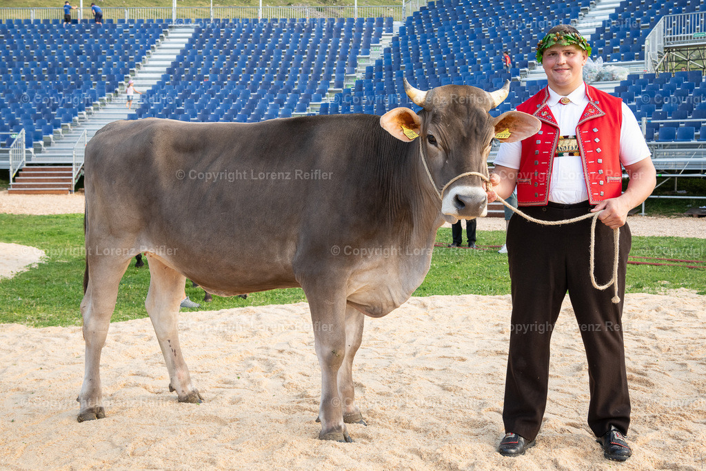 Schwingen -  Schwägalpschwinget 2023 | Schwägalp, 20.8.23, Schwingen - Schwägalpschwinget.