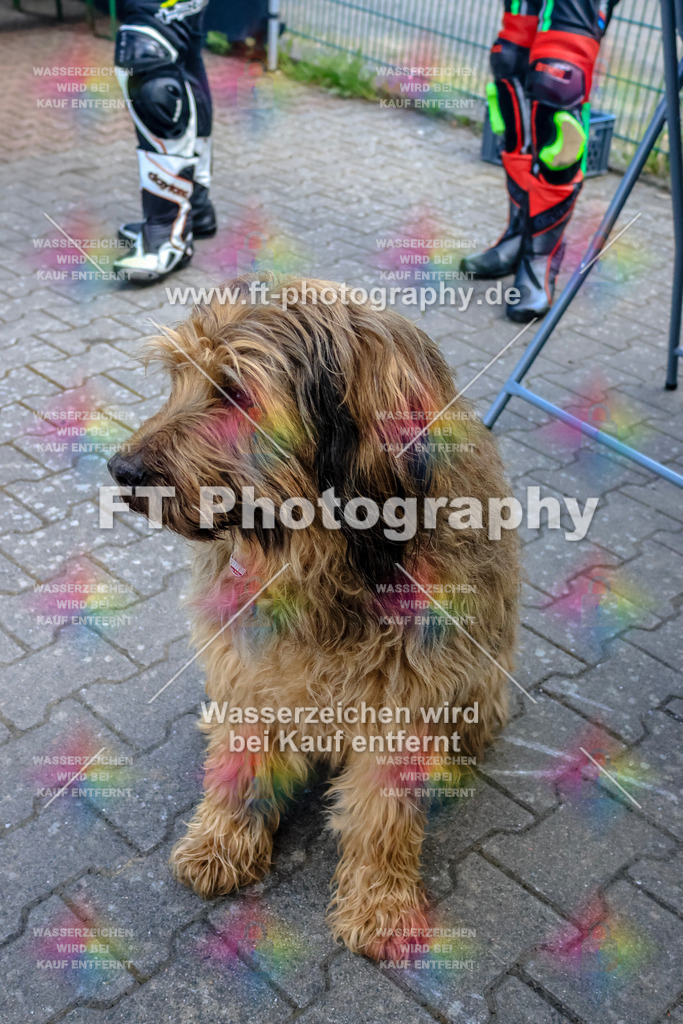 _OTO4145 | Hier findet Ihr Bilder von Touristenfahrten auf der Nürburgring Nordschleife oder von anderen Veranstaltungen die ich besucht habe. Viel Spass beim Durch Schauen 