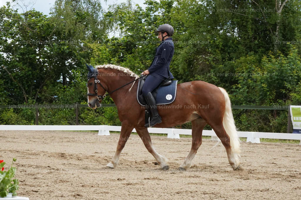 KlasseE_Lucie499 | working equitationturnier fotograf videograf stoibphotography marixx film working equitation deutschland reitsport turnierfotografie eventfotografie equestrian events