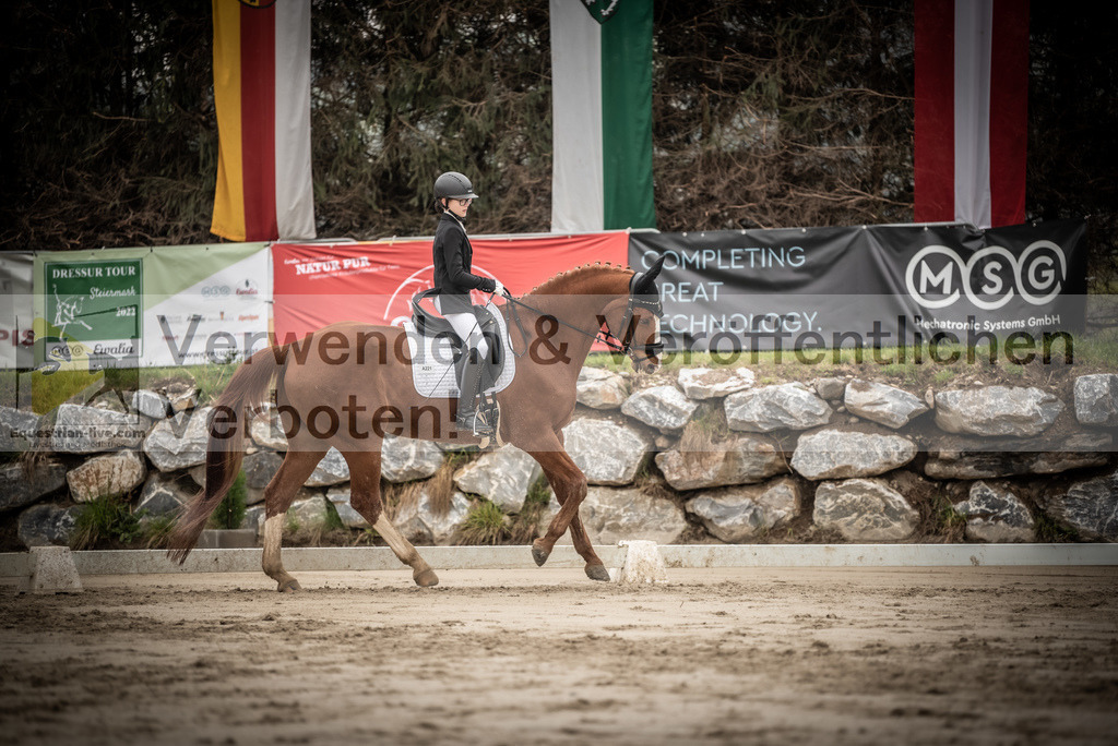 DSC_0231 | equestrian-live-com
