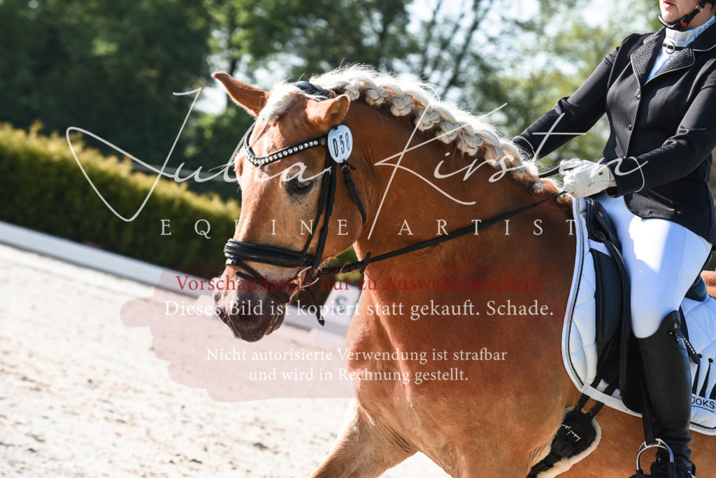 20230518_JK-Röhrsdorf-09-0324 | Pferde- und Turnierfotografie in Westsachsen. Pferdeportraits, Auftragszeichnungen und intuitive Kunst.