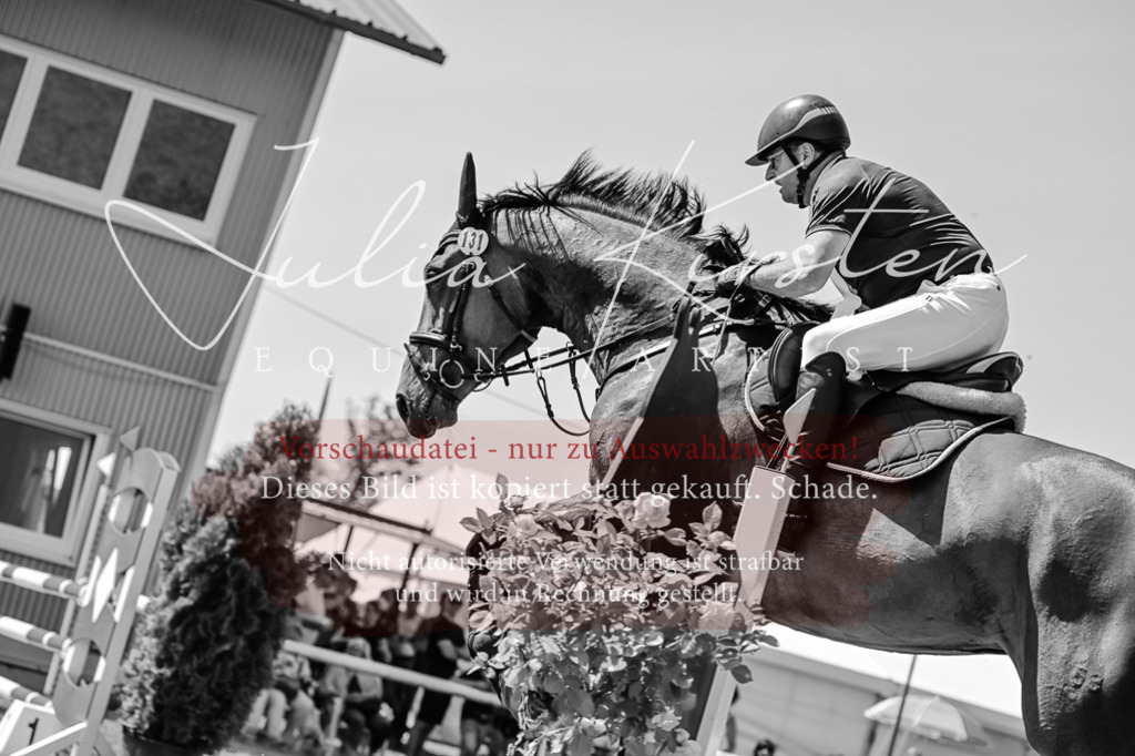 DSC_1000 | Pferde- und Turnierfotografie in Westsachsen. Pferdeportraits, Auftragszeichnungen und intuitive Kunst.