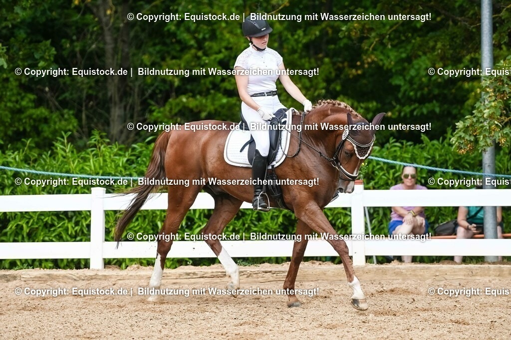 20230715_02_Dressurreiterprüfung Kl.L_0249 | equistock