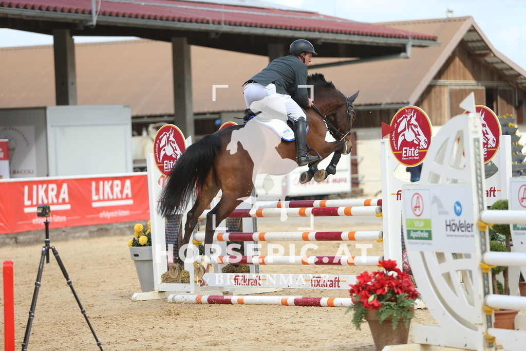 DL2Q9343 | Willkommen bei Brunnmayr - Design & Fotografie – Ihrem Spezialisten für Reitturniere und Pferdeveranstaltungen in Oberösterreich, Salzburg und Bayern! Seit über 17 Jahren sind wir leidenschaftlich dabei.