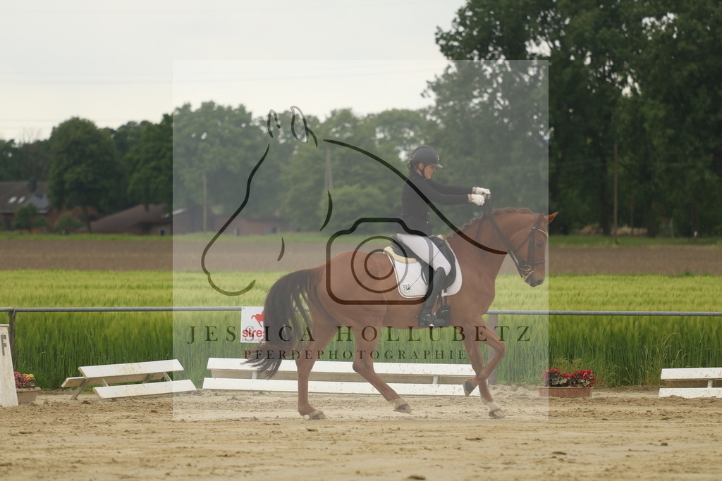 IMG_7511 | jessicahollubetz_pferdephotographie - Realisiert mit Pictrs.com