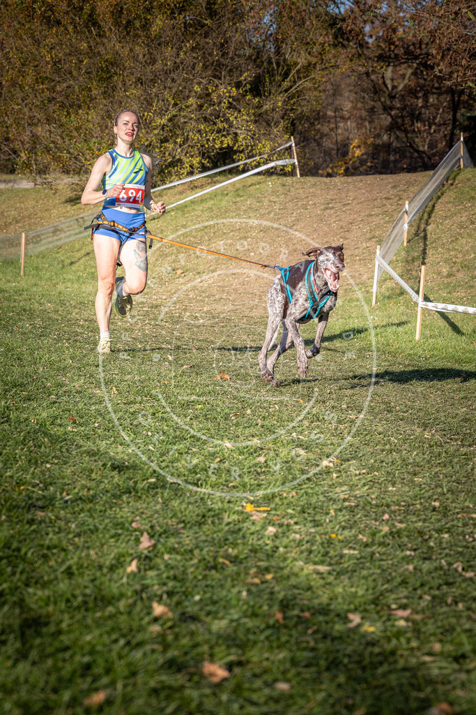 CaniXpix_0L8A9386 | Hundefotografie, Tierfotograf, Pfotenfotografie, Fotoshooting Hund, Hunde Portrait, Hundesport, Hundeportraits, Heideshooting, Hunde, Sportfotograf, Hundefotograf, Turnierhundsport, THS,  - Realisiert mit Pictrs.com
