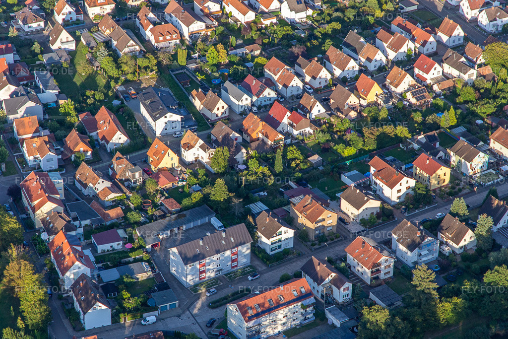 Luftbild: Elsässerstr in Kandel im Bundesland Rheinland-Pfalz in Deutschland. Foto: IMG_143278.jpg vom 25.08.2024 durch Werner Riehm/FLY-FOTO.de