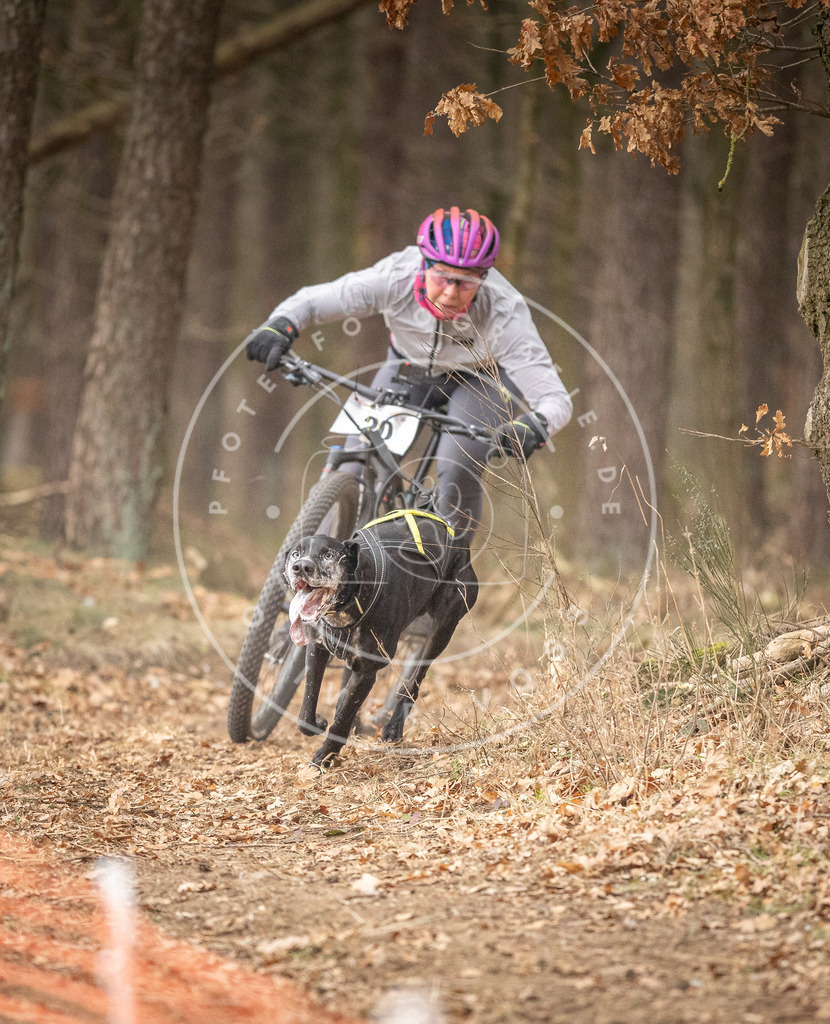 Pfotenfotografie_DV3A2530 | Hundefotografie, Tierfotograf, Pfotenfotografie, Fotoshooting Hund, Hunde Portrait, Hundesport, Hundeportraits, Heideshooting, Hunde, Sportfotograf, Hundefotograf, Turnierhundsport, THS,  - Realisiert mit Pictrs.com