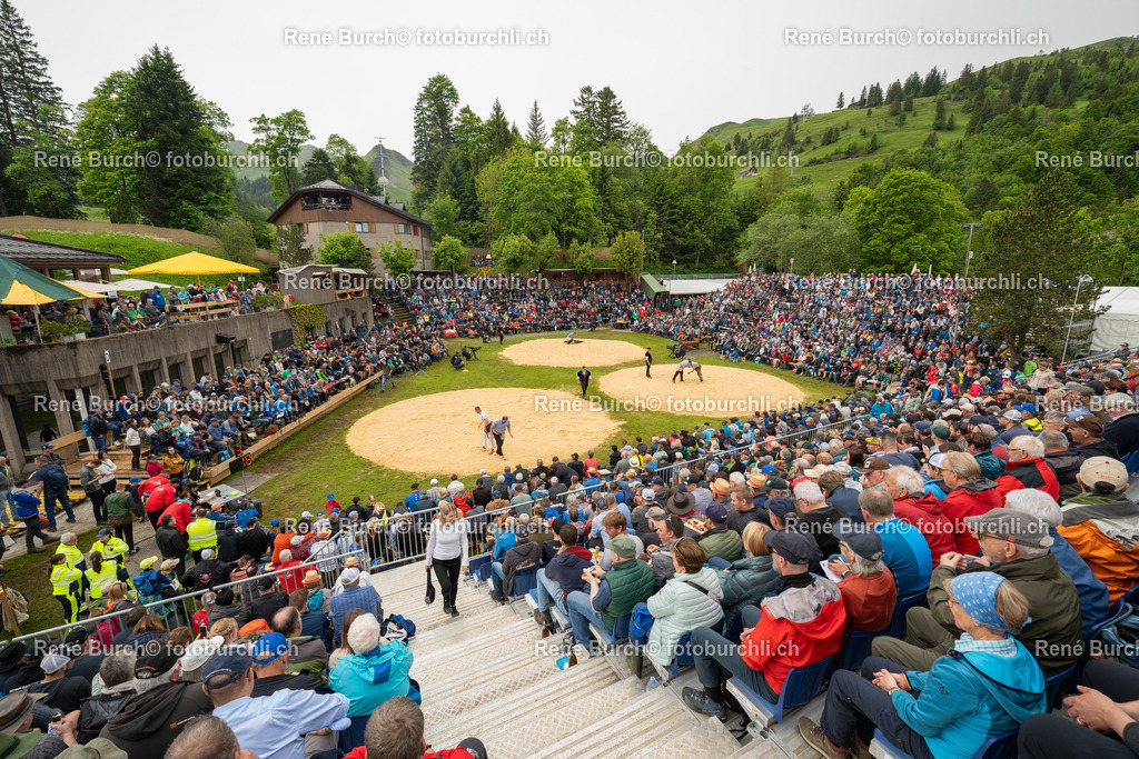 RB-01990 | René Burch leidenschaftlicher Fotograf aus Kerns in Obwalden.  Hier finden sie Sport, Landschaft und Natur Fotografie.
 - Realisiert mit Pictrs.com