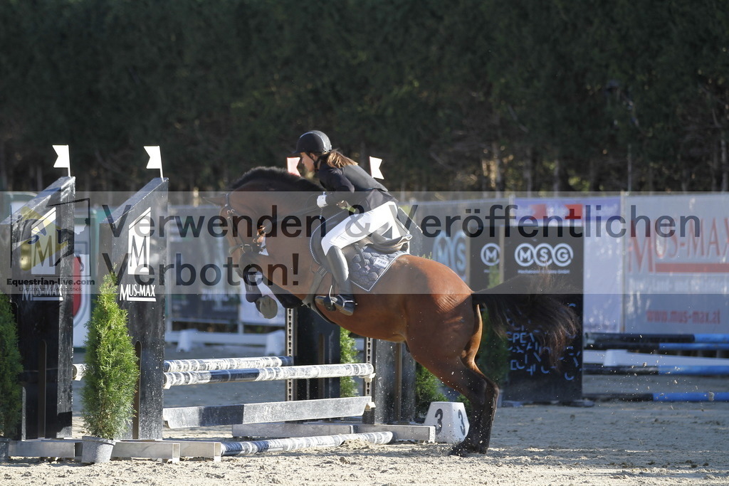 _MG_1274 | equestrian-live-com