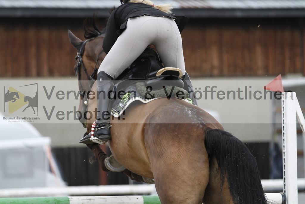 _MG_9100 | equestrian-live-com