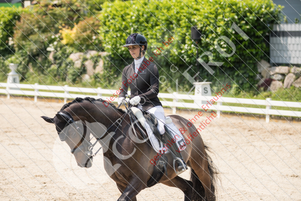 IMG_4824 | Sport-, Event- und Tierfotos in Profiqualität. Einfach auswählen, bestellen und herunterladen. Dein Moment – perfekt festgehalten.